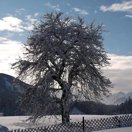 Anno Tyrol Holiday home *
