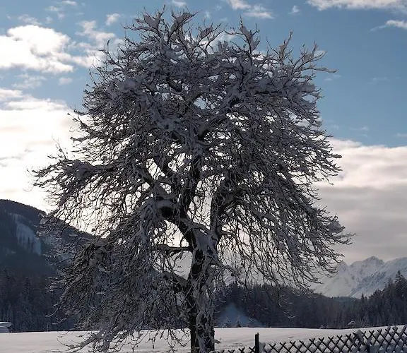 Anno Tyrol Сasa de vacaciones *